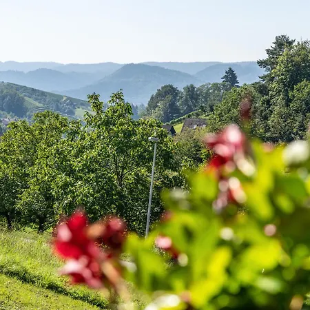Decker Apartment Oberkirch (Baden)
